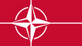 Die NATO-Linke