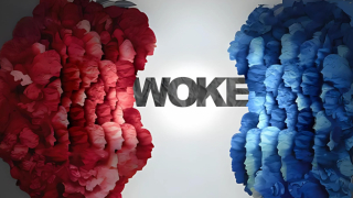 Woke, la grande cancellazione e la grande sostituzione (II)